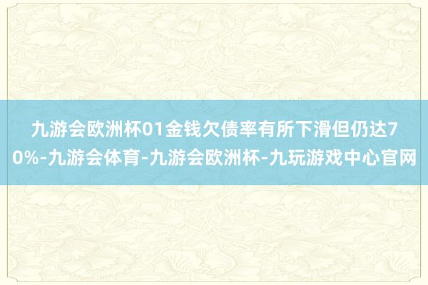 九游会欧洲杯　　01　　金钱欠债率有所下滑但仍达70%-九游会体育-九游会欧洲杯-九玩游戏中心官网