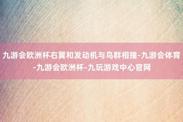 九游会欧洲杯右翼和发动机与鸟群相撞-九游会体育-九游会欧洲杯-九玩游戏中心官网