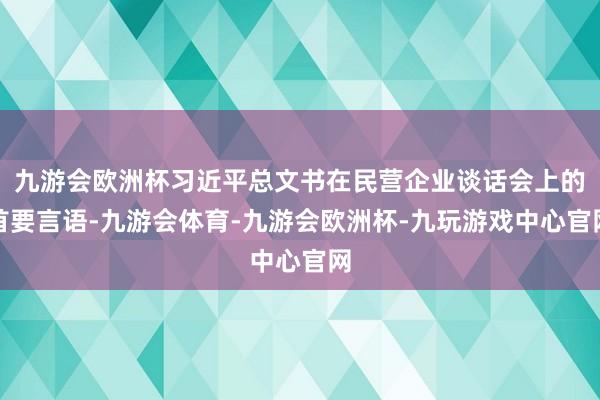 九游会欧洲杯习近平总文书在民营企业谈话会上的首要言语-九游会体育-九游会欧洲杯-九玩游戏中心官网