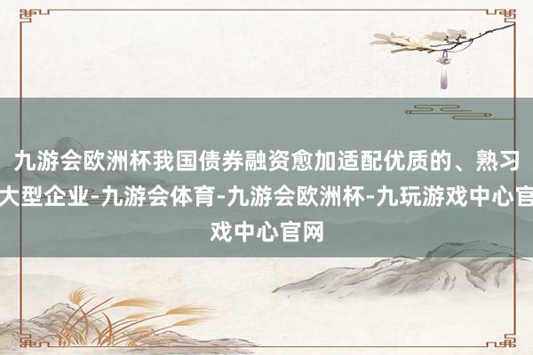 九游会欧洲杯我国债券融资愈加适配优质的、熟习的大型企业-九游会体育-九游会欧洲杯-九玩游戏中心官网